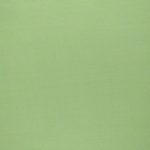 Light green – 100% cotton